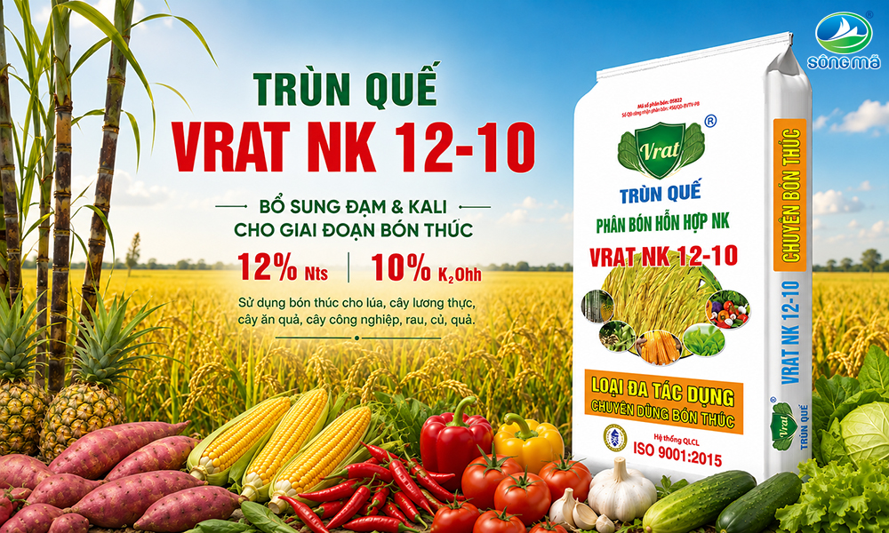 Trùn Quế VRAT NK 12-10 – Bổ sung đạm và kali cho cây trong giai đoạn sinh trưởng