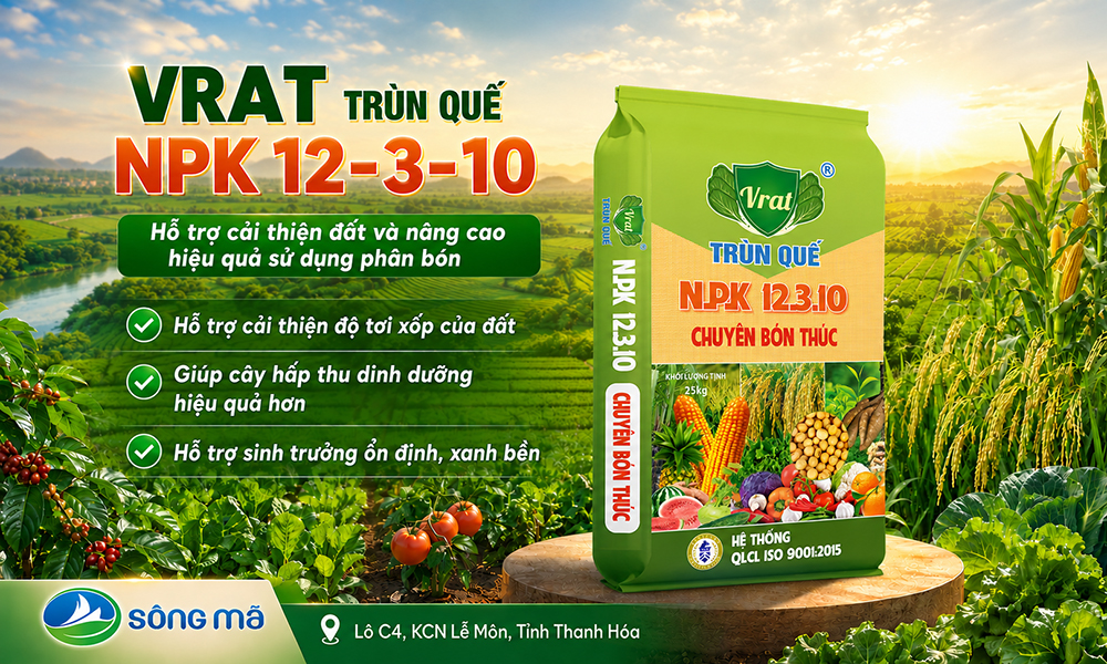 VRAT Trùn Quế NPK 12-3-10: Hỗ trợ cải thiện đất và nâng cao hiệu quả sử dụng phân bón