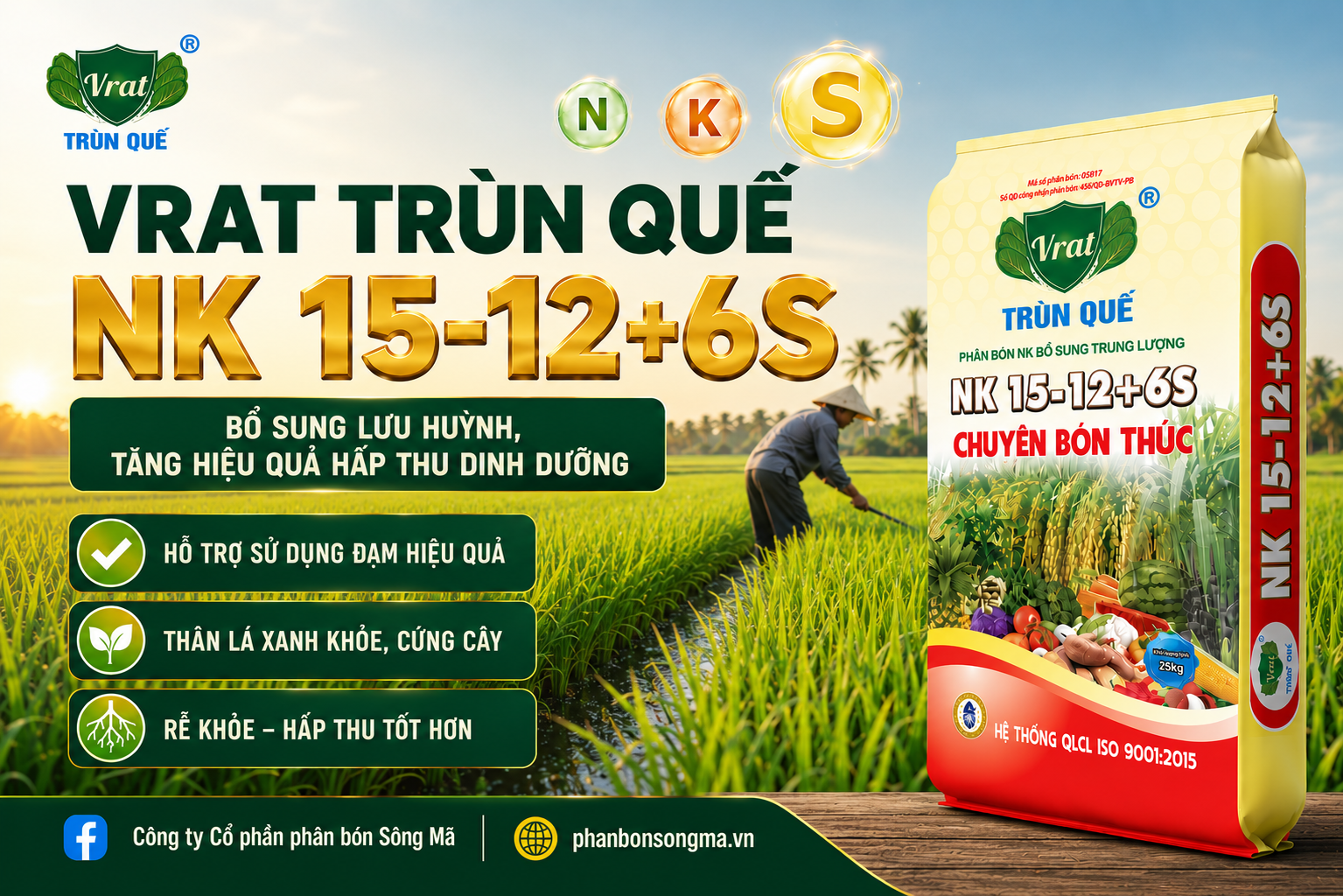 Vì sao NK bổ sung lưu huỳnh giúp cây hấp thu dinh dưỡng tốt hơn?