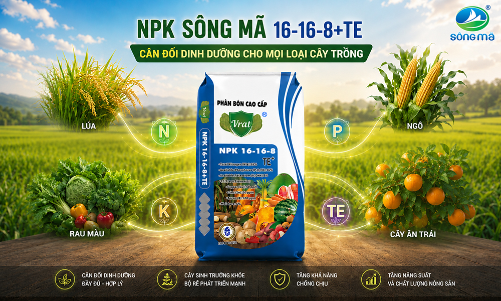 NPK 16-16-8+TE: Giải pháp phù hợp cho giai đoạn phát triển thân lá