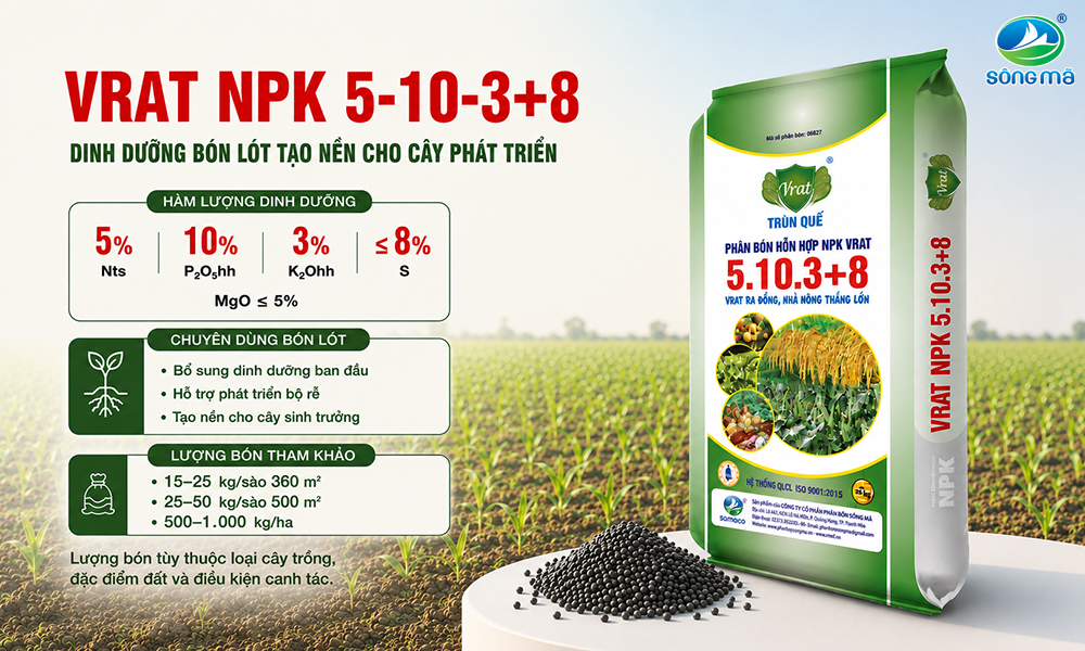 VRAT NPK 5-10-3+8 – Phân bón lót bổ sung dinh dưỡng cho cây trồng