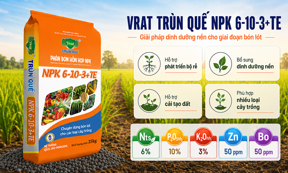 Vì sao ngày càng nhiều nhà vườn quan tâm đến phân bón lót hơn trước?