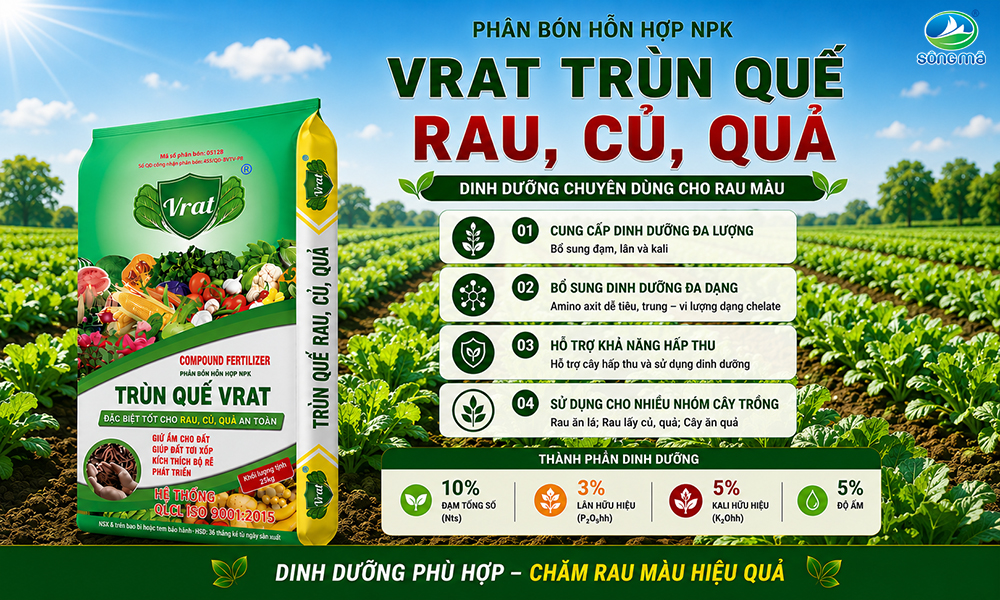 VRAT Trùn Quế Rau, Củ, Quả – Dinh dưỡng chuyên dùng cho rau màu