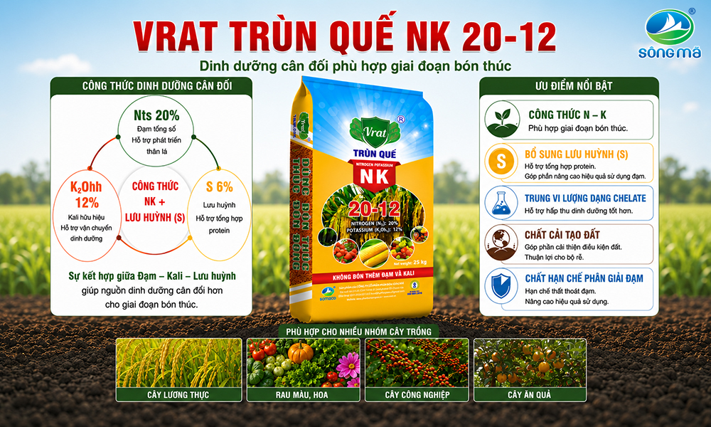 VRAT Trùn Quế NK 20-12 – Hiệu quả bón thúc không chỉ đến từ công thức NK