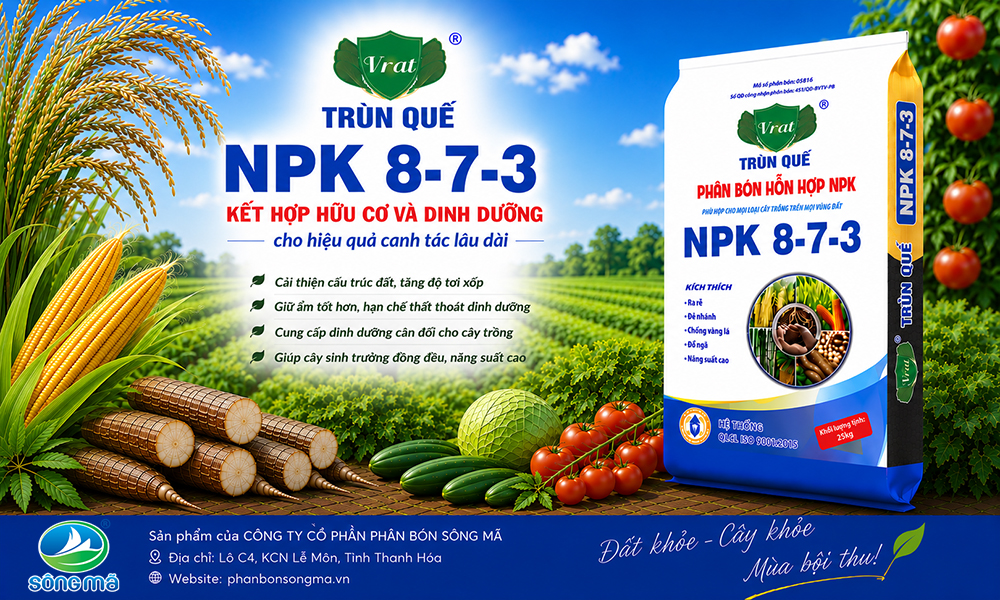 VRAT Trùn Quế NPK 8-7-3: Kết hợp hữu cơ và dinh dưỡng cho hiệu quả canh tác lâu dài