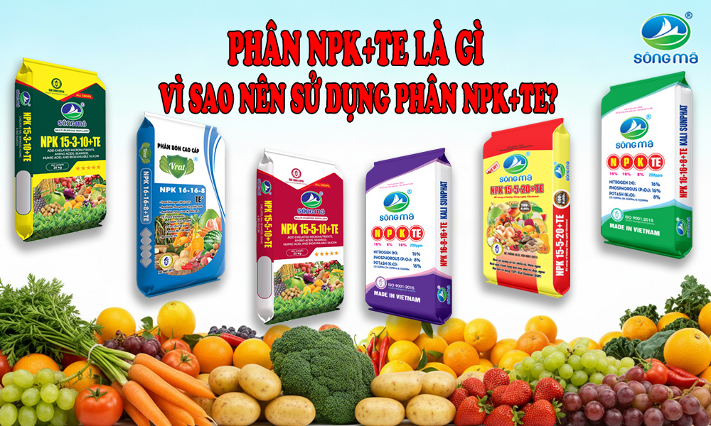 Phân bón NPK+TE là gì? Phân biệt phân bón NPK với NPK+TE và vì sao nên sử dụng trong canh tác nông nghiệp