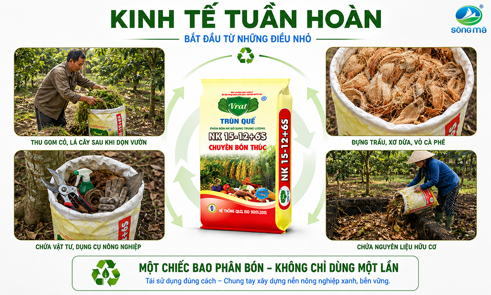 Kinh tế tuần hoàn trong nông nghiệp bắt đầu từ việc tái sử dụng bao phân bón