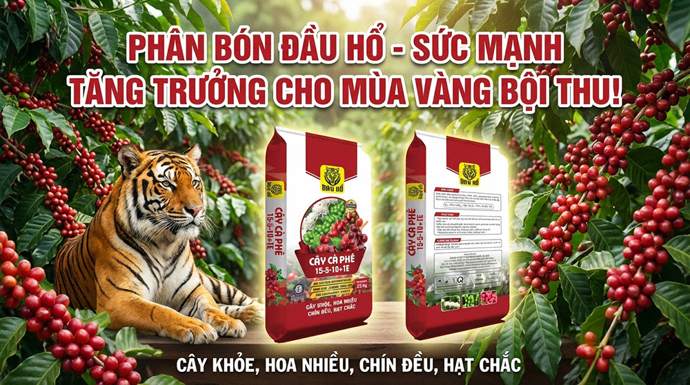 Đầu Hổ NPK 15-5-10