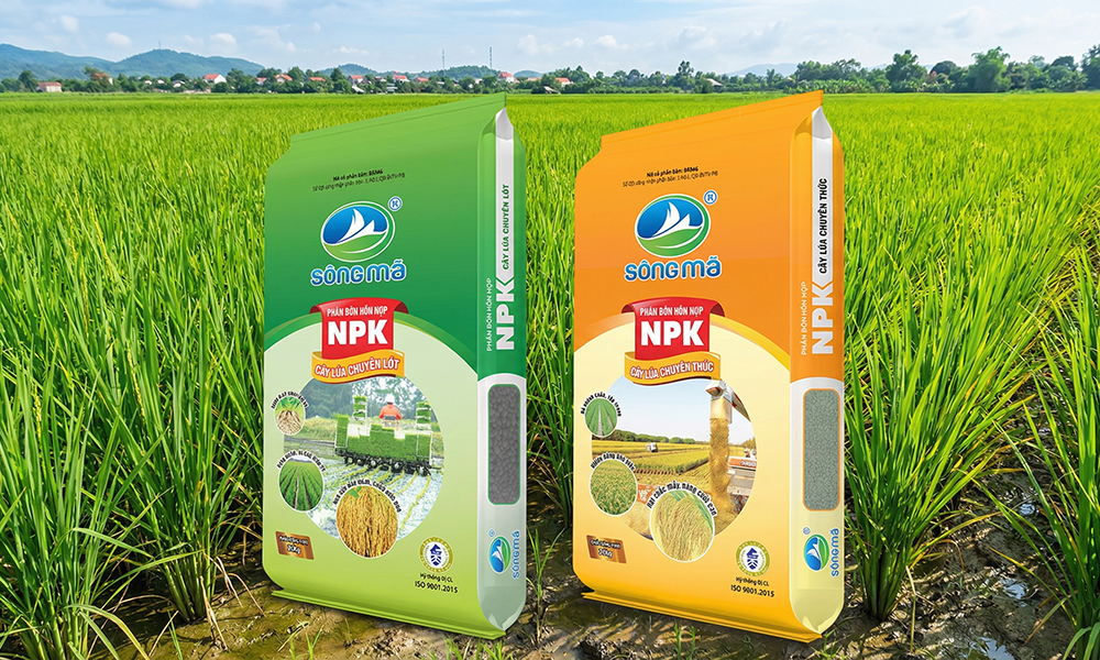 Quy trình bón phân cho cây lúa đúng kỹ thuật với NPK Sông Mã chuyên lót và chuyên thúc