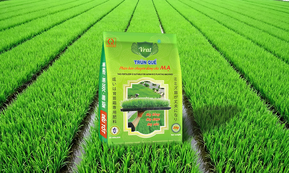 Phân bón chuyên dùng cho mạ Sông Mã – Giải pháp giúp mạ cứng cây, bén rễ nhanh, chống rét, chống nóng hiệu quả