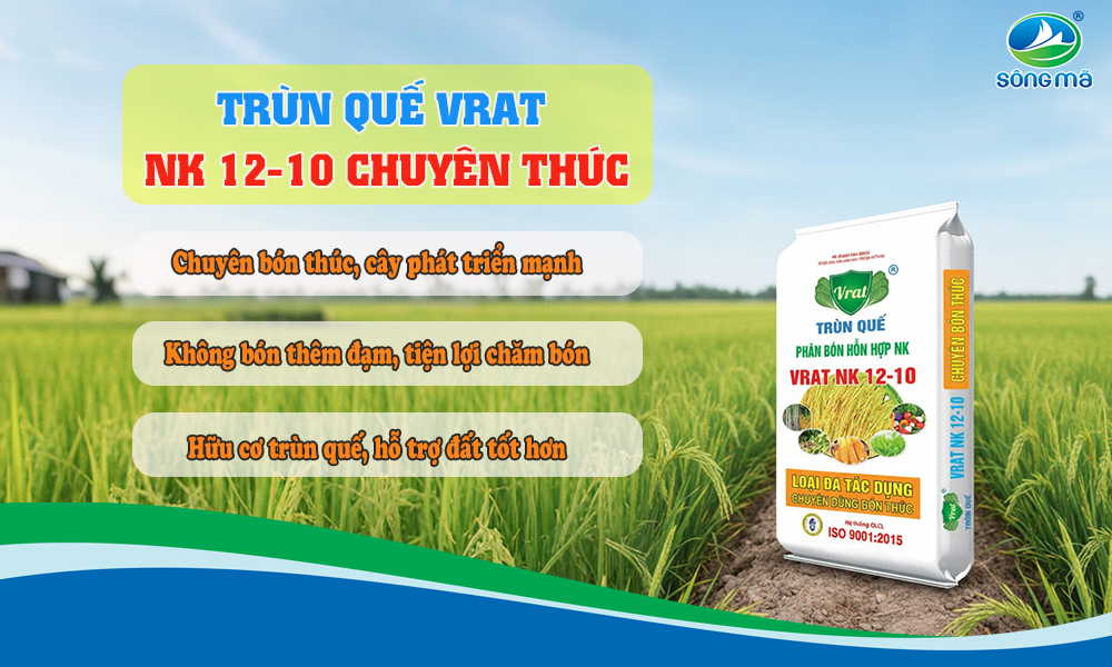VRAT Trùn Quế NK 12-10: Kết hợp dinh dưỡng và hữu cơ cho hiệu quả kép