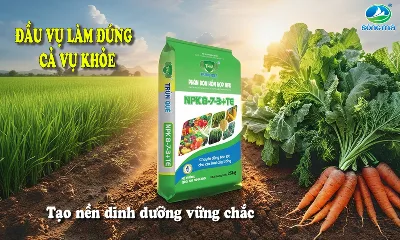 Phân bón NPK 8-7-3+TE Trùn Quế: Tăng độ phì đất – giúp cây phát triển ngay từ đầu vụ