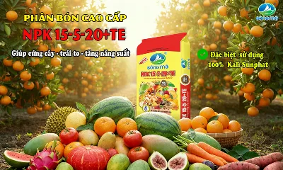 Phân bón Sông Mã NPK 15-5-20+TE – Giúp cây cứng thân, trái to và nâng cao năng suất