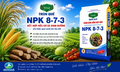VRAT Trùn Quế NPK 8-7-3: Kết hợp hữu cơ và dinh dưỡng cho hiệu quả canh tác lâu dài
