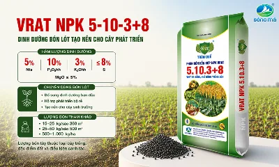 VRAT NPK 5-10-3+8 – Phân bón lót bổ sung dinh dưỡng cho cây trồng