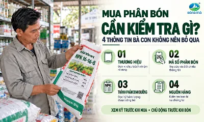 Mua phân bón cần kiểm tra gì? 4 thông tin bà con không nên bỏ qua