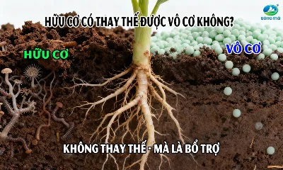 Phân bón hữu cơ có thể thay thế hoàn toàn phân vô cơ được không?
