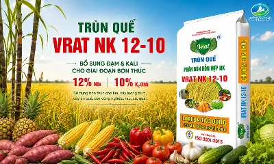 Trùn Quế VRAT NK 12-10 – Bổ sung đạm và kali cho cây trong giai đoạn sinh trưởng