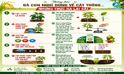 Những điều bà con nghĩ đúng về cây trồng… nhưng thực ra lại sai