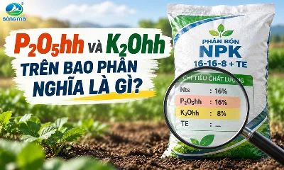 P₂O₅hh và K₂Ohh trên bao phân nghĩa là gì?