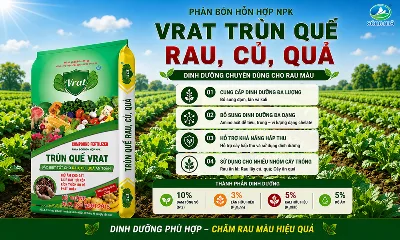 VRAT Trùn Quế Rau, Củ, Quả – Dinh dưỡng chuyên dùng cho rau màu