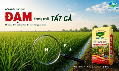 Bón thúc cho cây: Vì sao không nên chỉ tập trung vào đạm?