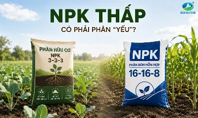 Hữu cơ có NPK thấp: Nhìn ba số rồi kết luận “yếu” được không?