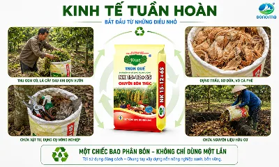 Kinh tế tuần hoàn trong nông nghiệp bắt đầu từ việc tái sử dụng bao phân bón