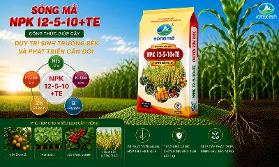 NPK Sông Mã 12-5-10+TE: Công thức giúp cây duy trì sinh trưởng bền và phát triển cân đối