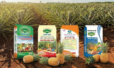 Quy trình bón phân cho cây dứa (thơm)
